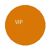 VIP特权图标